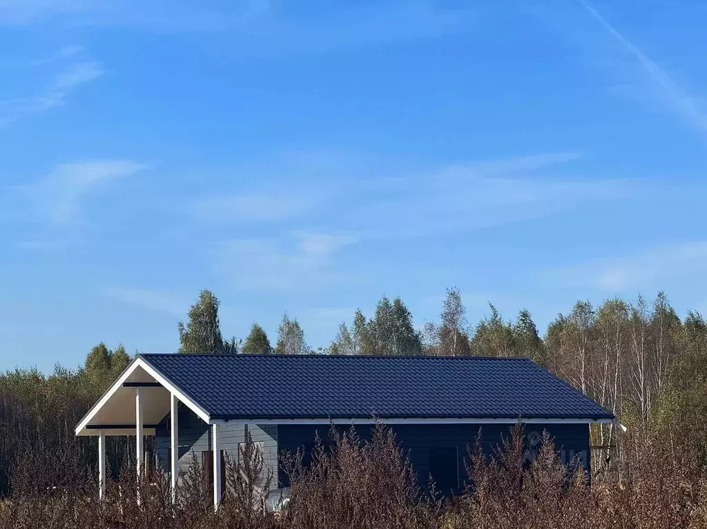 Участок в Московская область, Раменский муниципальный округ, Оттепель ... - Фото 2