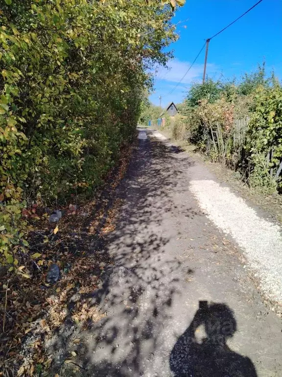 Участок в Липецкая область, Липецк Коммунальник СНТ, 8-я линия (6.0 ... - Фото 1