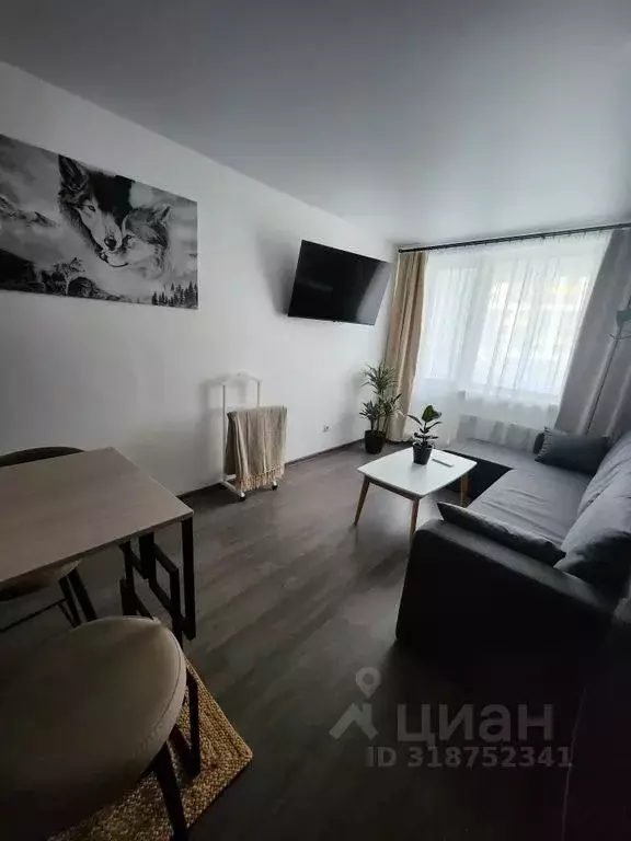 Студия Ленинградская область, Мурино Всеволожский район, просп. ... - Фото 1