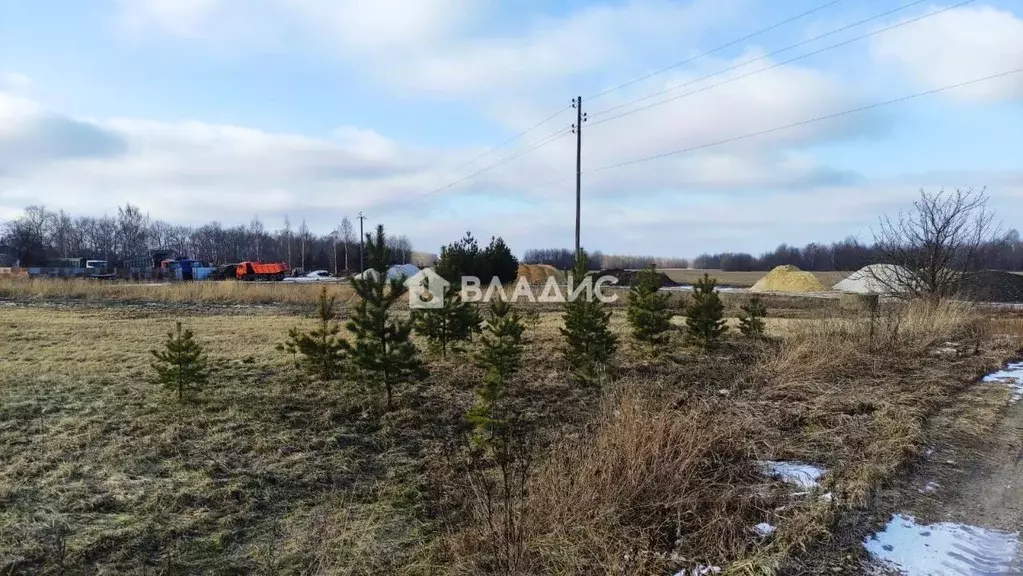 Участок в Владимирская область, Суздаль городской округ, с. Кидекша ... - Фото 1