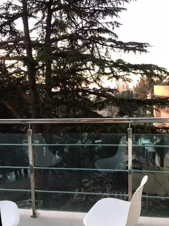 Студия Краснодарский край, Сочи Центральный мкр, ул. Первомайская, 1 ... - Фото 2