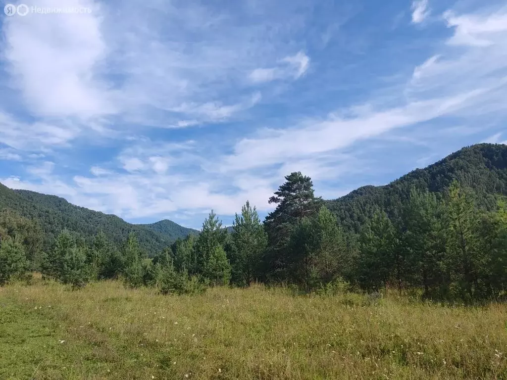 Участок в Чемальский район, село Чемал (13.78 м) - Фото 1