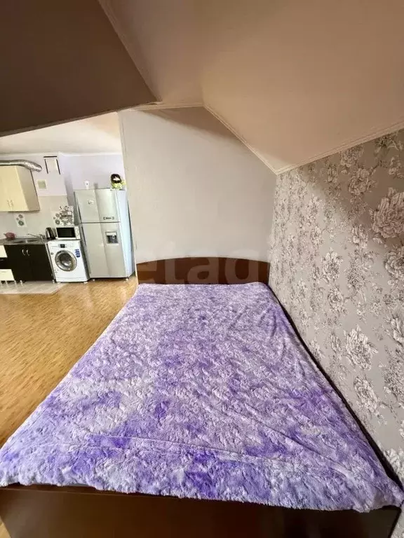 Студия Краснодарский край, Анапа Терская ул., 96А (38.0 м) - Фото 2