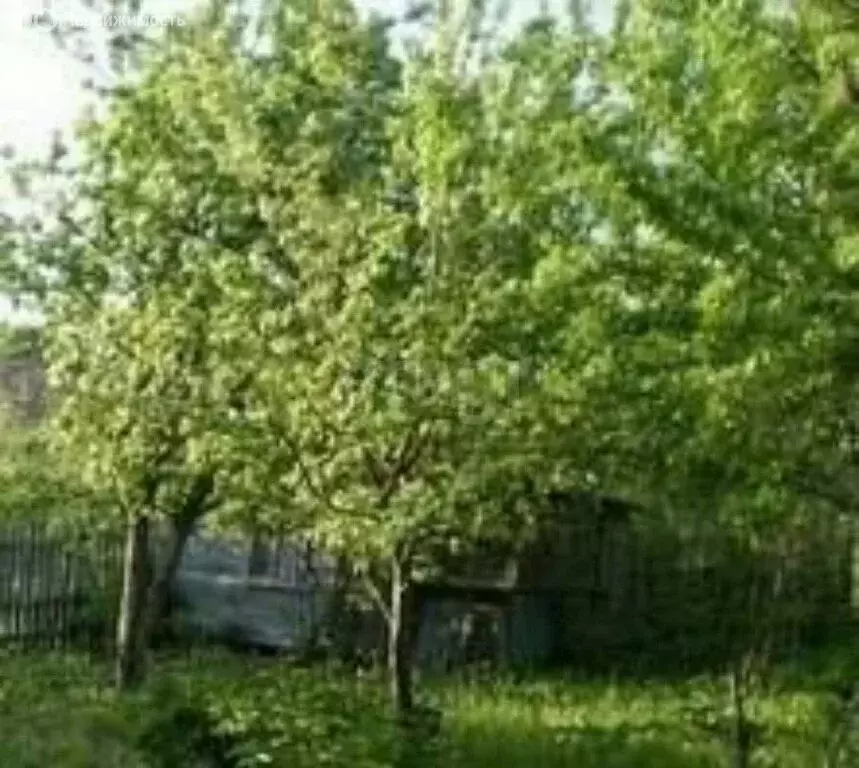 Участок в Самара, территория Сорокины Хутора, 5-я улица (6.6 м) - Фото 1