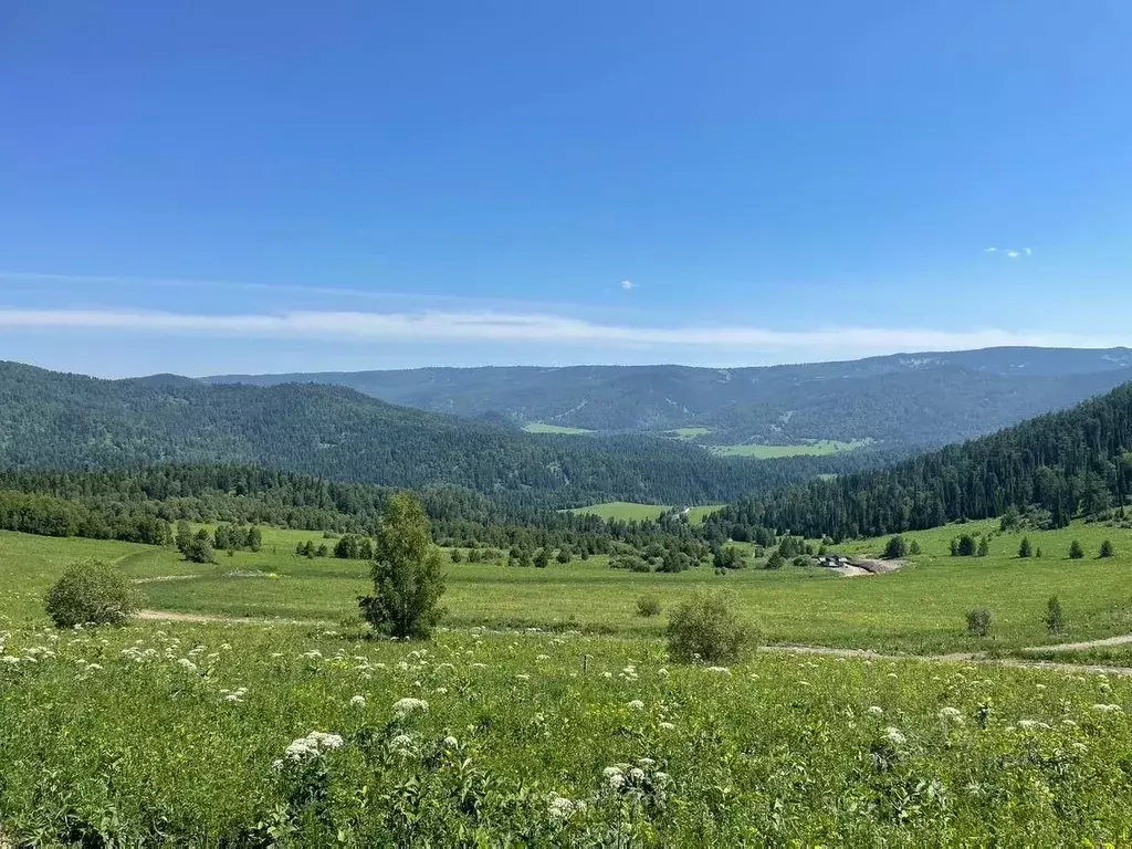 Участок в Алтай, Чемальский район, Элекмонарское с/пос, Седьмое Небо ... - Фото 0