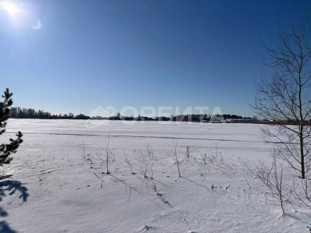 Участок в Тюменская область, Тюменский район, д. Есаулова ул. Гайдара, ... - Фото 1