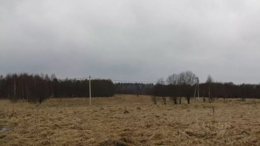 Участок в Московская область, Рузский муниципальный округ, д. ... - Фото 0