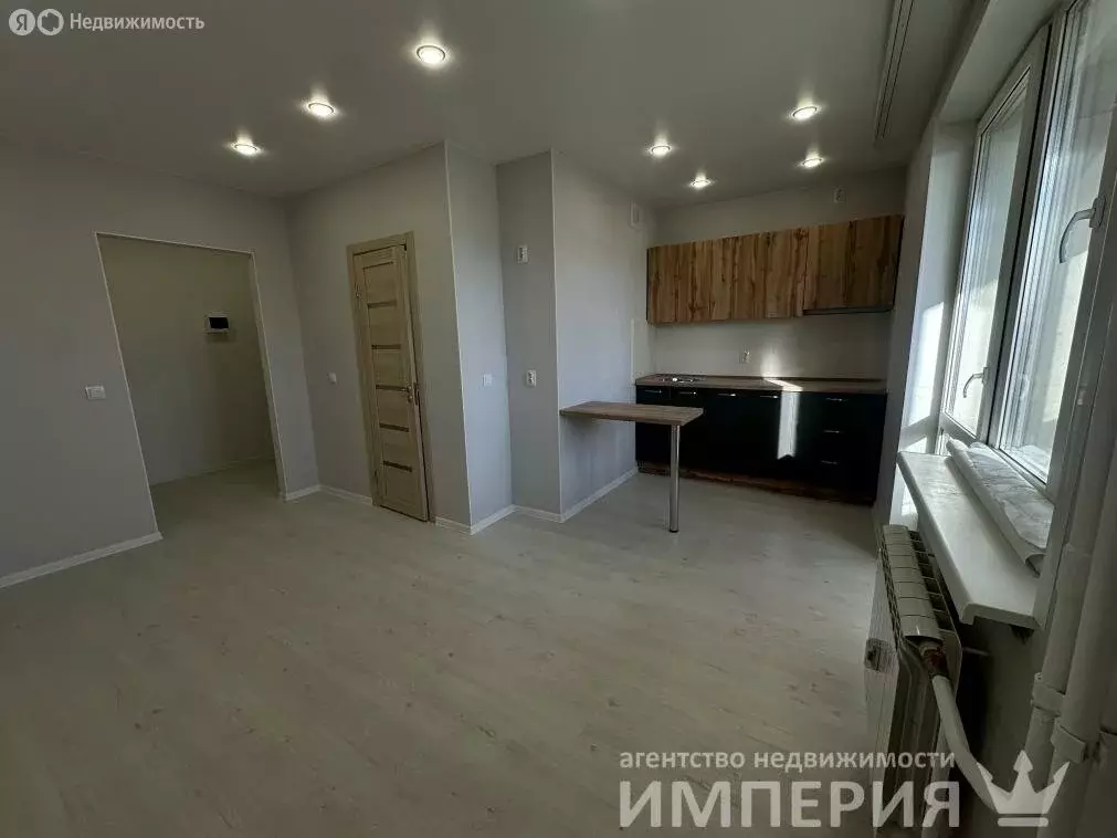 Квартира-студия: село Чигири, улица Воронкова, 9 (29 м) - Фото 1