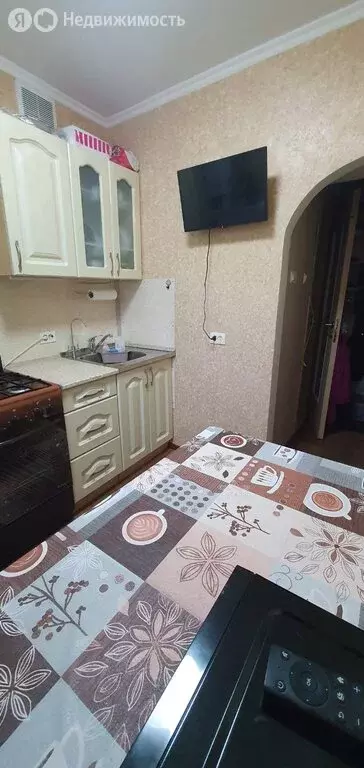 1-комнатная квартира: Великие Луки, переулок Некрасова, 8 (20.6 м) - Фото 2