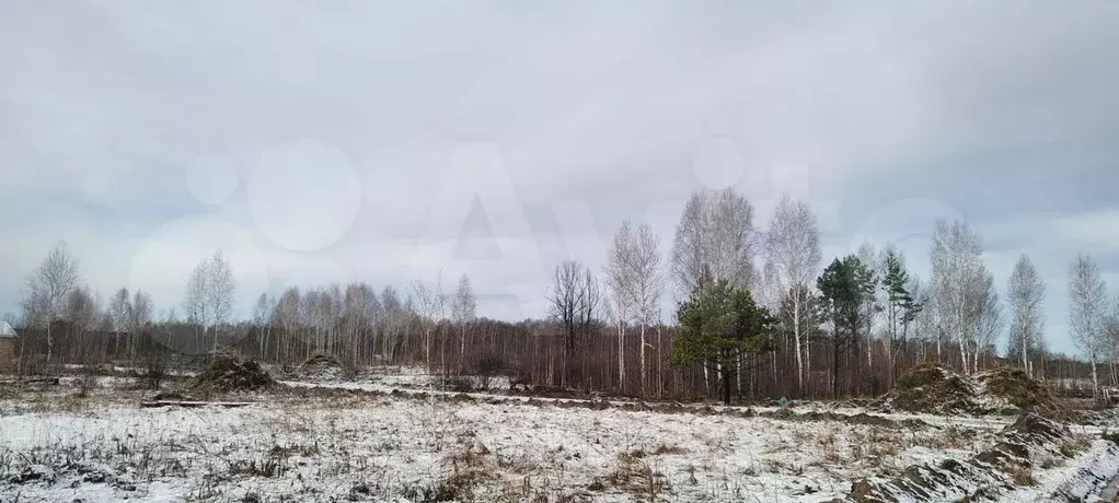 Участок 10 га (СНТ, ДНП) - Фото 1