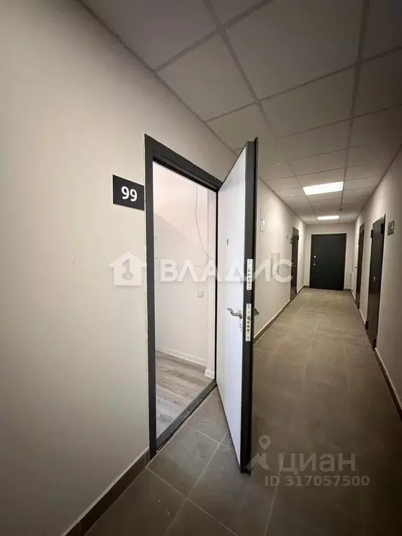Студия Ленинградская область, Всеволожский район, пос. Бугры ул. ... - Фото 1