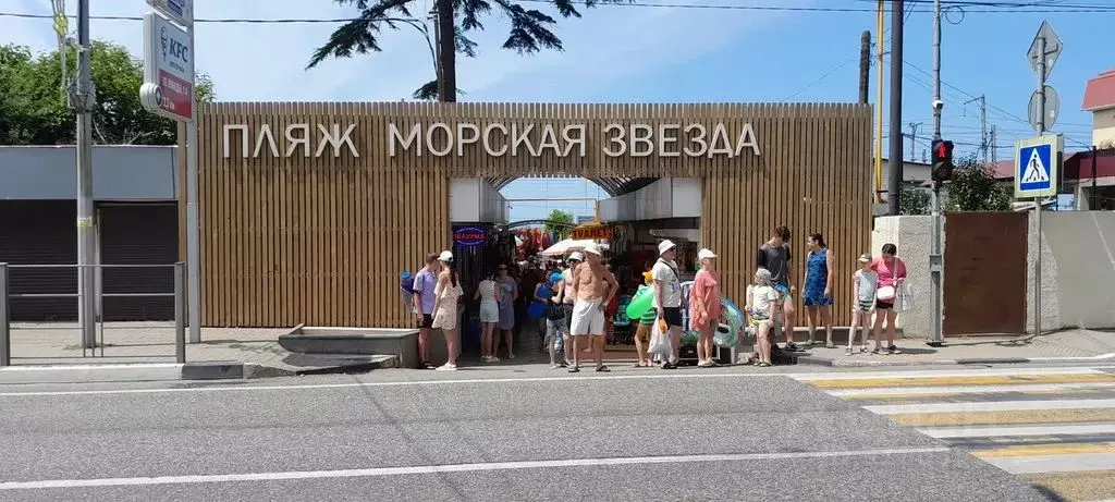1-к кв. Краснодарский край, Сочи Лазаревское жилрайон, ул. Победы, ... - Фото 1