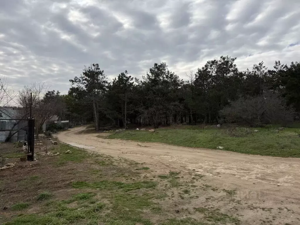 Участок в Севастополь СТ Дружба ТСН, 65 (8.0 сот.) - Фото 1