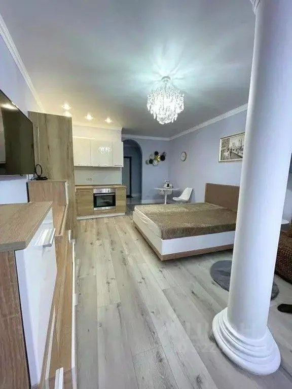 1-к кв. Краснодарский край, Сочи Светлана мкр, ул. Депутатская, 10 ... - Фото 2