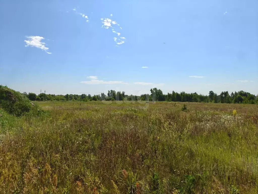 Участок в Владимирская область, Муром с. Ковардицы, ул. 2-я Садовая ... - Фото 1
