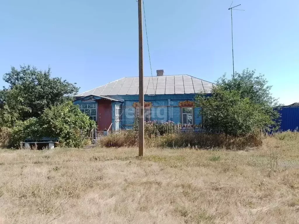 Дом в Воронежская область, Борисоглебский городской округ, с. Третьяки ... - Фото 0