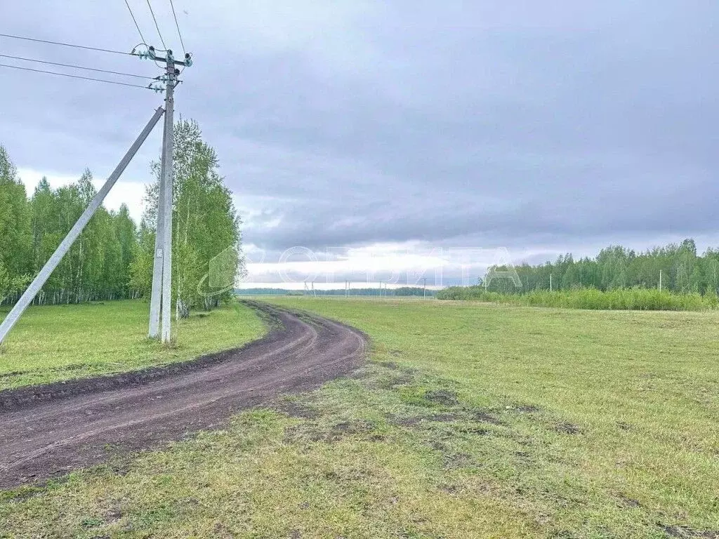 Участок в Тюменская область, Тюменский район, с. Горьковка  (8.0 сот.) - Фото 0