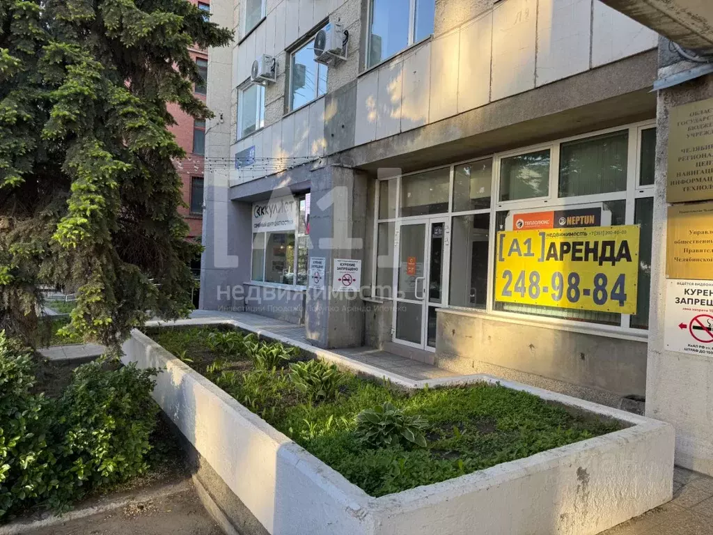 Помещение свободного назначения в Челябинская область, Челябинск пл. ... - Фото 1