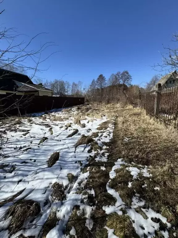 Участок в Брянская область, Брянский район, Нетьинское с/пос, ... - Фото 1