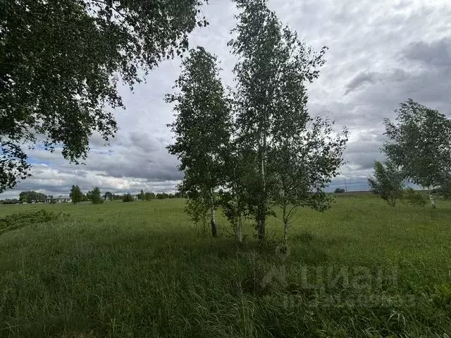 Участок в Московская область, Воскресенск городской округ, д. ... - Фото 1