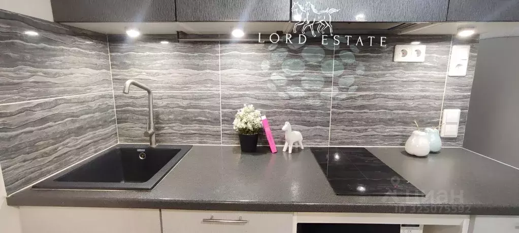 Студия Московская область, Одинцовский городской округ, Новоивановское ... - Фото 1