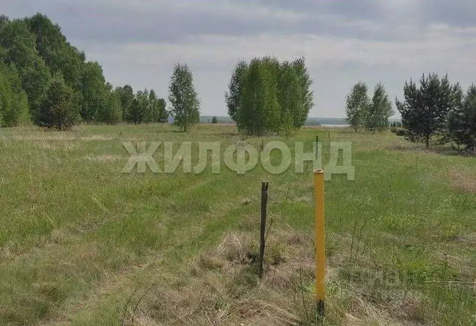 Участок в Новосибирская область, Ордынский район, Благодатное-2 ДНТ  ... - Фото 0