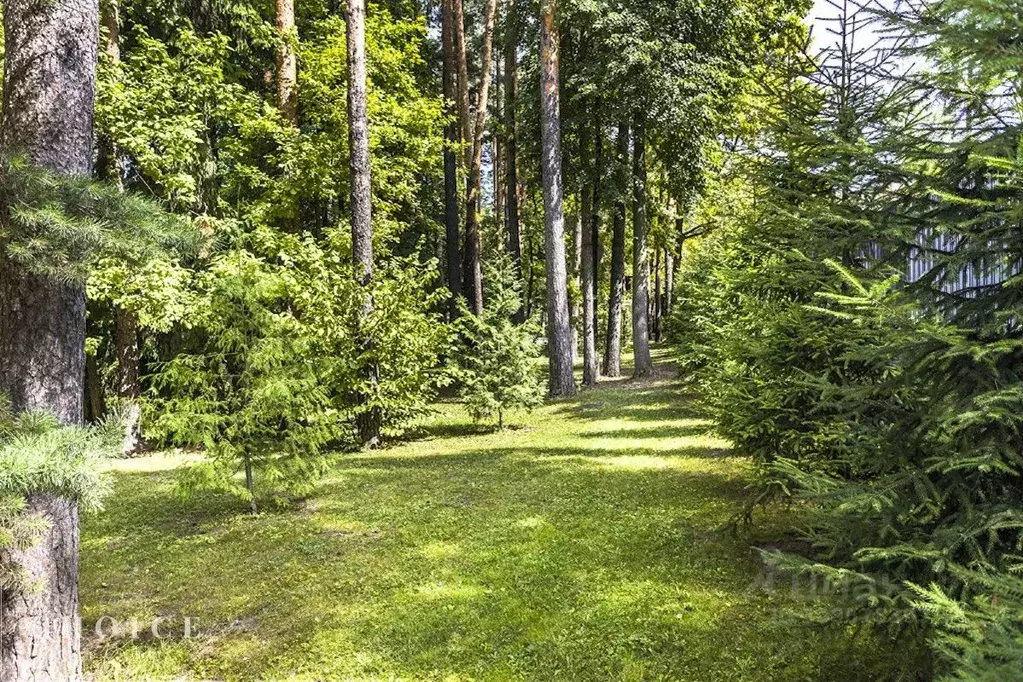 Участок в Московская область, Одинцовский городской округ, Заречье рп ... - Фото 1