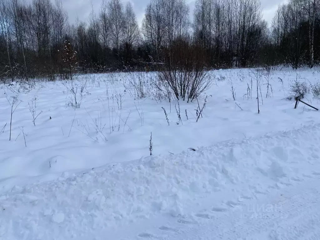 Участок в Московская область, Клин городской округ, с. Борщево  (7.62 ... - Фото 0