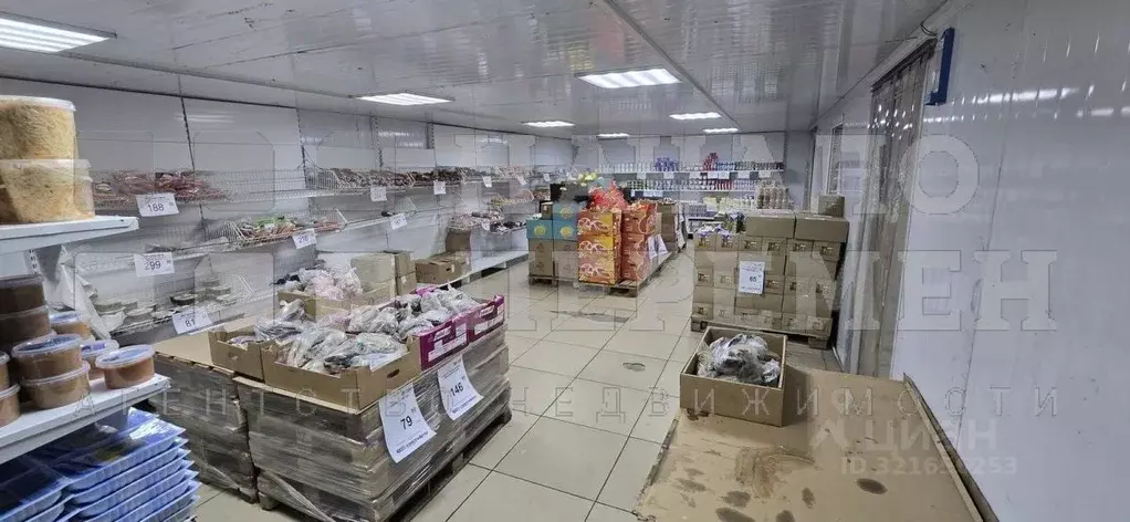Торговая площадь в Новосибирская область, Новосибирск Бердское ш., ... - Фото 0