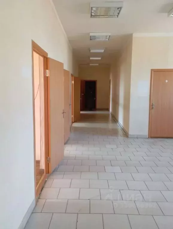 Помещение свободного назначения в Удмуртия, Можга Можгинский район, ... - Фото 2
