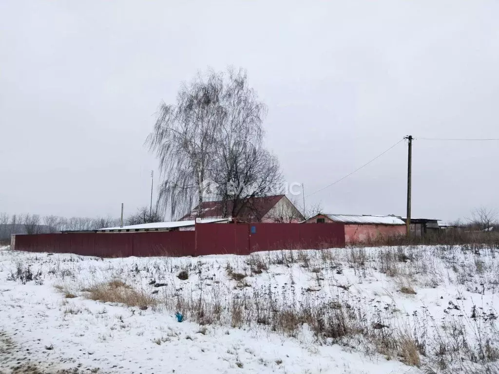 Дом в Московская область, Зарайск городской округ, д. Летуново ул. ... - Фото 0