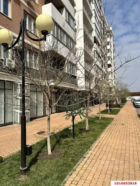 Студия Краснодарский край, Краснодар ул. Григория Пономаренко (27.0 м) - Фото 1