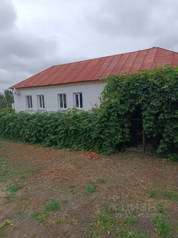 Дом в Липецкая область, Задонский муниципальный округ, с. Тюнино ул. ... - Фото 2