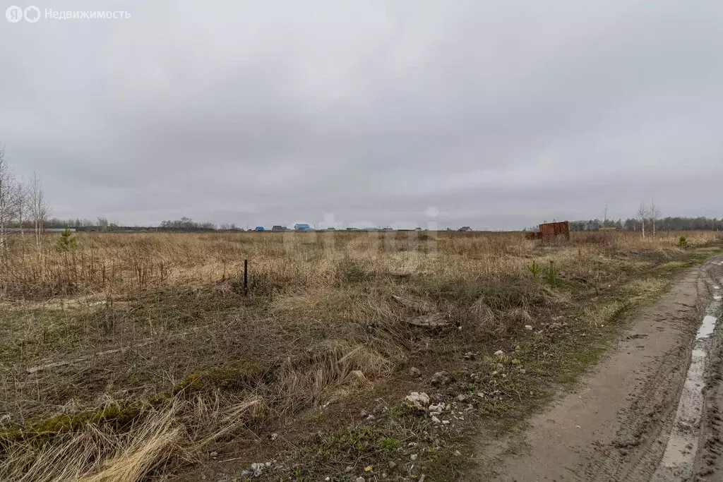 Участок в село Борки, Филиновская улица (14.99 м) - Фото 1