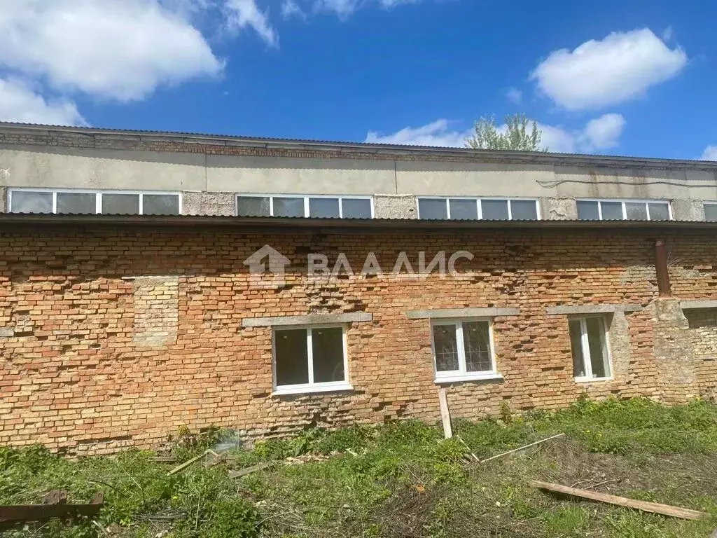 Склад в Пензенская область, Бессоновский район, с. Блохино Молодежная ... - Фото 1