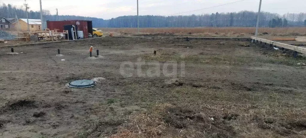 Участок в Новосибирская область, Новосибирский район, Кудряшовский ... - Фото 1