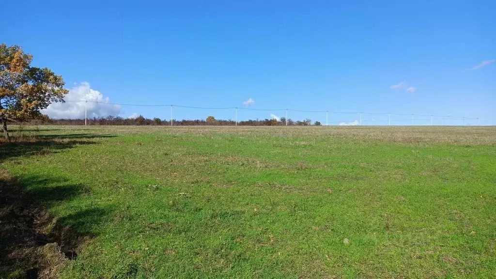 Участок в Краснодарский край, Новороссийск городской округ, ... - Фото 2