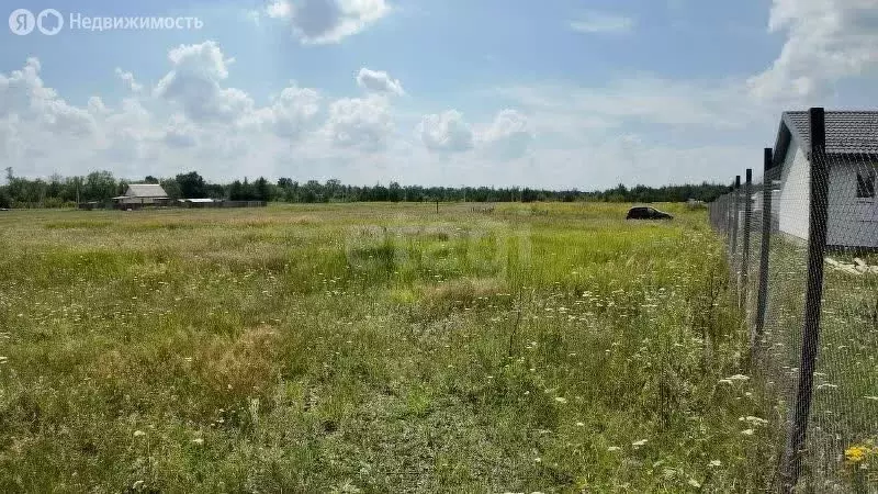 Участок в Верхнехавский район, Углянское сельское поселение, посёлок ... - Фото 1