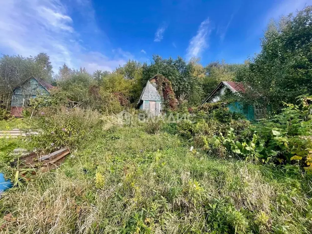 Участок в Ивановская область, Кохма Ключик-1 СНТ,  (4.3 сот.) - Фото 0