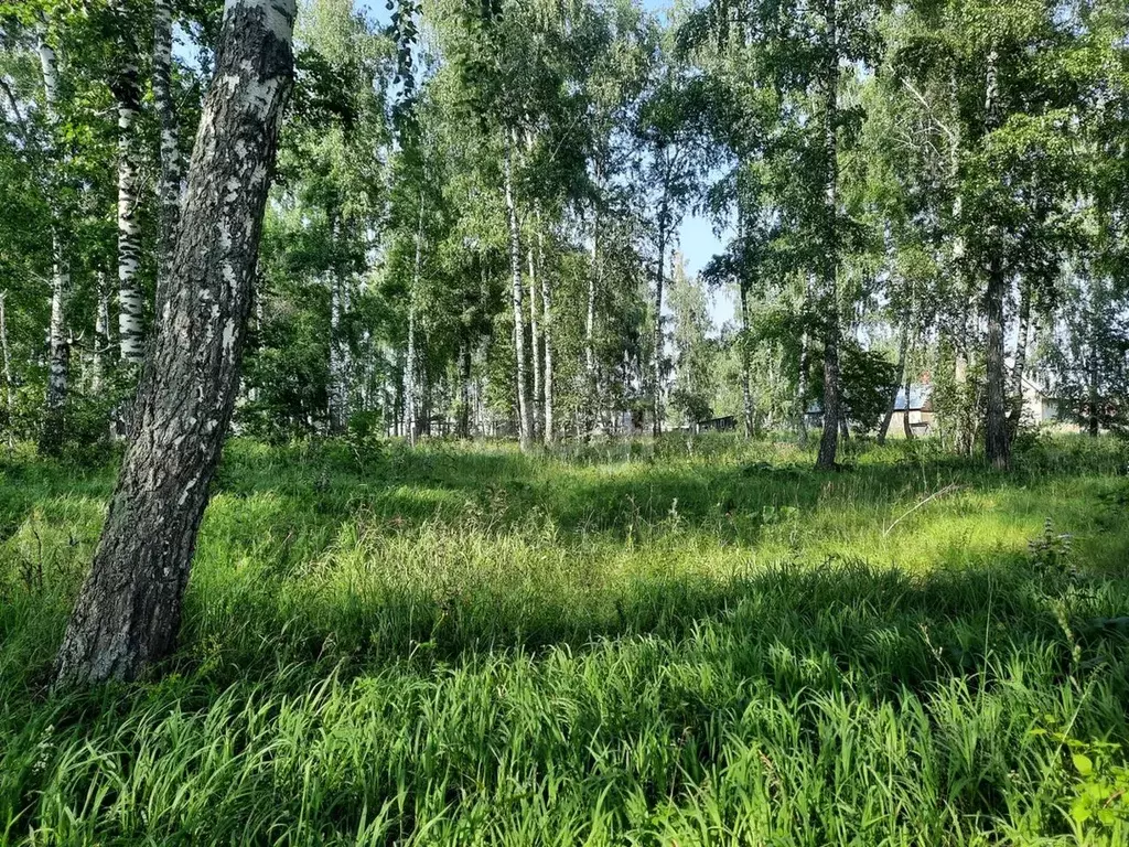 Участок в Алтайский край, Бийский район, с. Малоенисейское Новая ул. ... - Фото 0