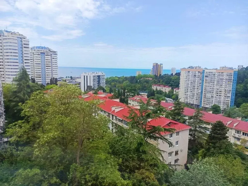 Студия Краснодарский край, Сочи ул. Яна Фабрициуса, 2/26А (30.0 м) - Фото 2