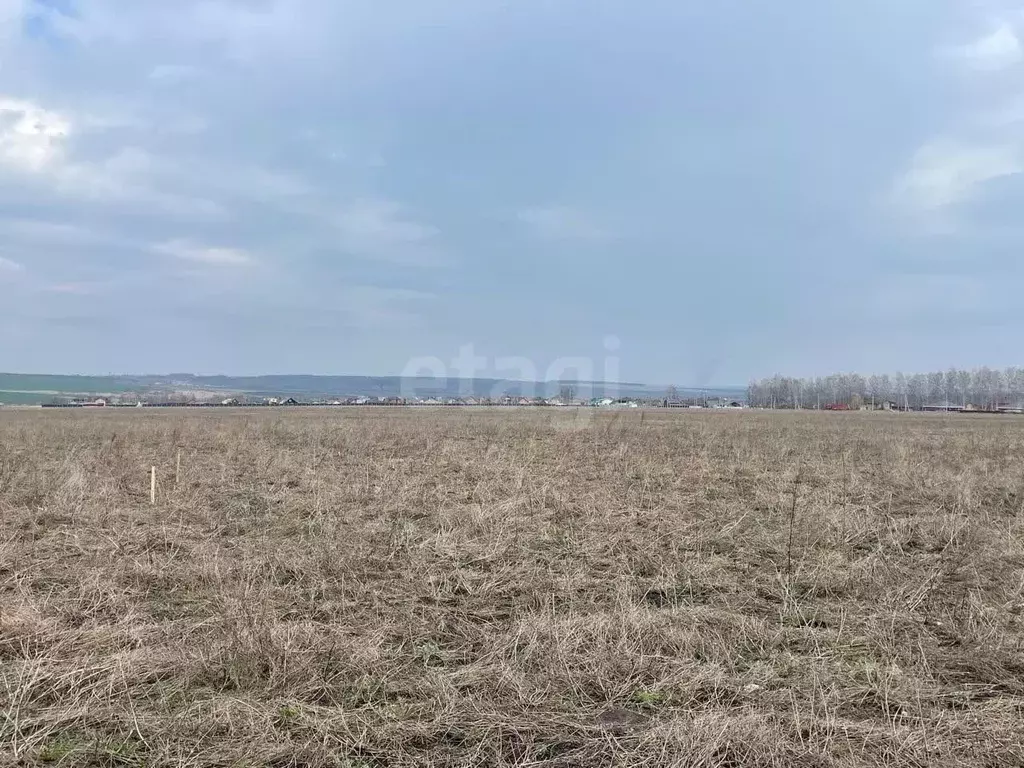 Участок в Мордовия, Лямбирский район, с. Берсеневка  (6.9 сот.) - Фото 2