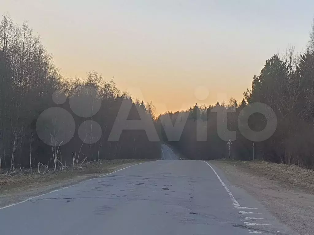 Участок 12 сот. (СНТ, ДНП) - Фото 1