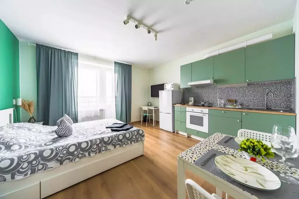 Студия Санкт-Петербург пос. Песочный, Садовая ул., 81 (27.0 м) - Фото 2