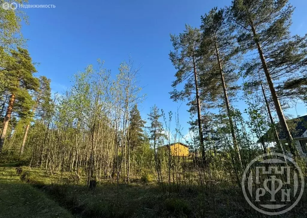 Участок в Выборгский район, Полянское сельское поселение, посёлок ... - Фото 1