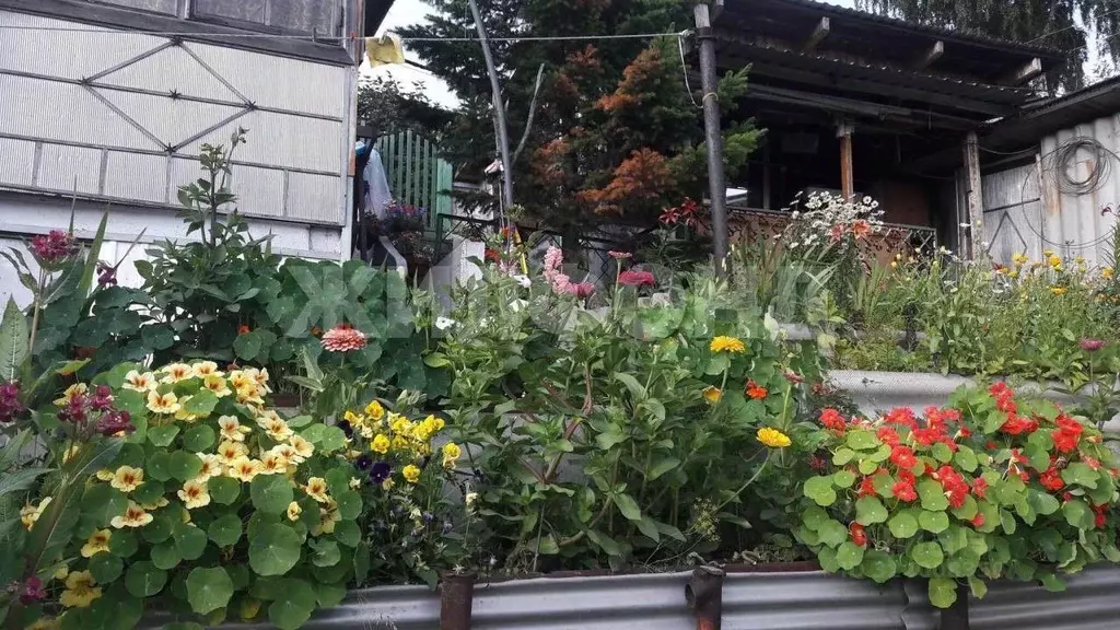 Участок в Новосибирская область, Новосибирский район, Березовский ... - Фото 2