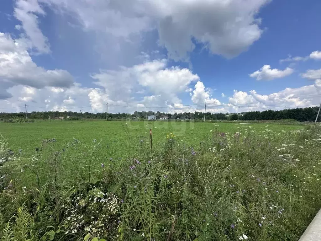 Участок в Калужская область, Жуковский район, Совхоз Чаусово с/пос, ... - Фото 2