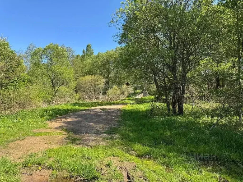 Участок в Смоленская область, Демидовский муниципальный округ, Деревня ... - Фото 1
