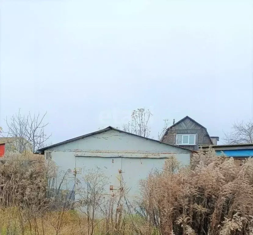 Дом в Брянская область, Брянский район, Снежское с/пос, пос. Верный ... - Фото 1