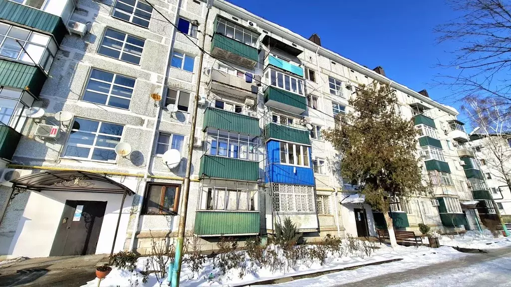 1-к кв. Адыгея, Майкоп Кирпичная ул., 53 (34.4 м) - Фото 1